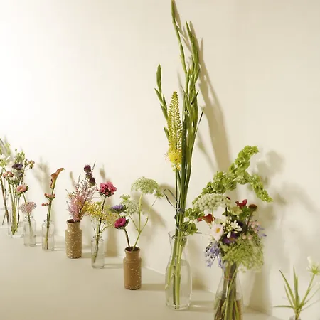 Casa de Campo Casa Robla Bilar